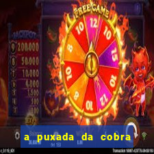 a puxada da cobra no jogo do bicho